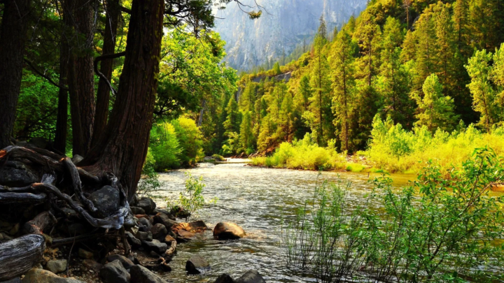 «Табиғатым- тал бесігім»