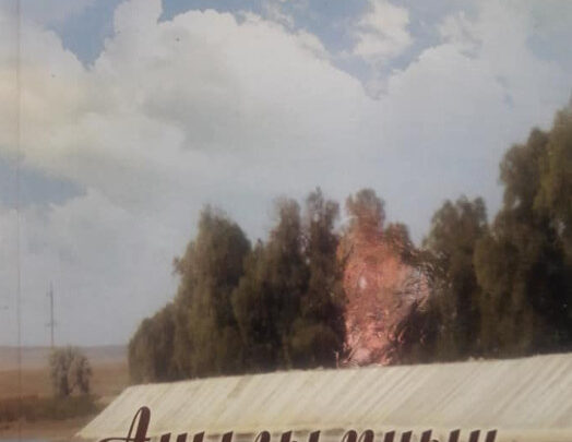 «Туған өлке əдебиетін оқимыз»