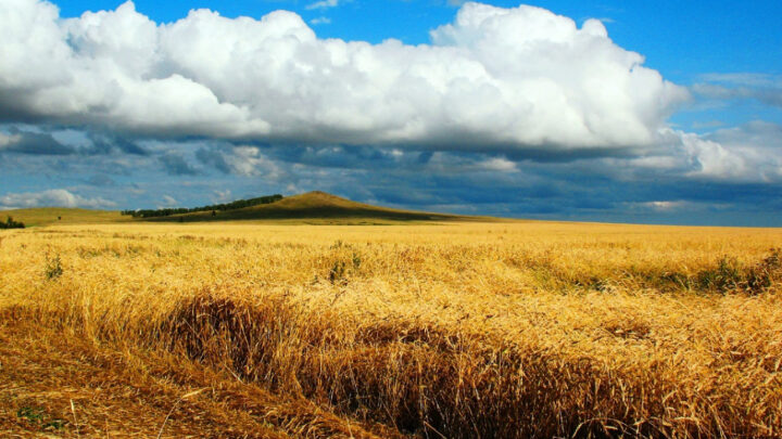 «Туған өлкем – Түгіскенім»