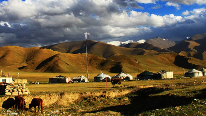 «Туған жер алтын бесігім»